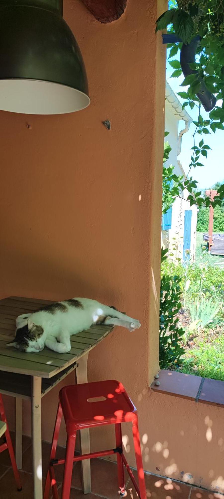 B&B Auberge Verdon La Palud-sur-Verdon Ngoại thất bức ảnh